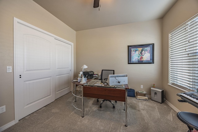 office space featuring ceiling fan and carpet