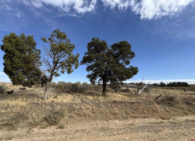 12040 Road N, Cahone CO, 81320 land for sale