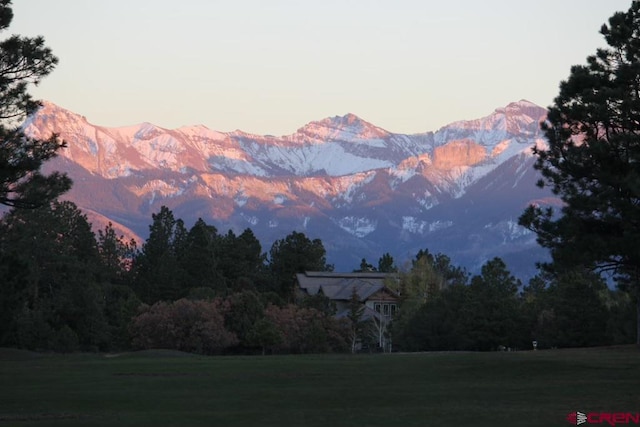 TBD N Badger Trl, Ridgway CO, 81432 land for sale