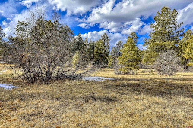 view of nature