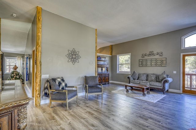 living room featuring light hardwood / wood-style floors