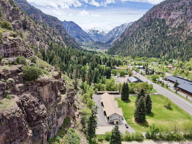 2101 Main St Unit A-2, Ouray, CO 81427 - view of mountain background with a heavily wooded area