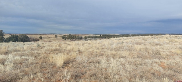 14134 Rd N.3 Rd, Cahone CO, 81320 land for sale