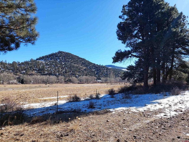 449 Willow Park Dr, South Fork CO, 81154 land for sale