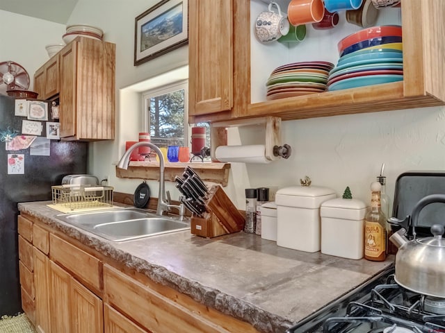 kitchen with black fridge and sink