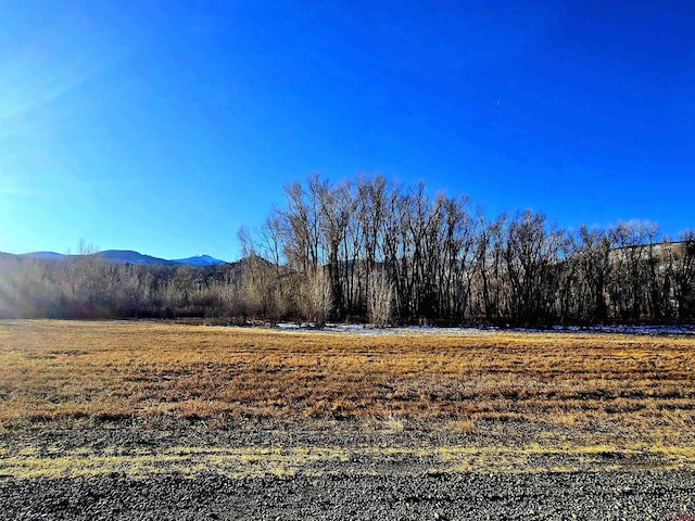 118 Caddis Cir, South Fork CO, 81154 land for sale