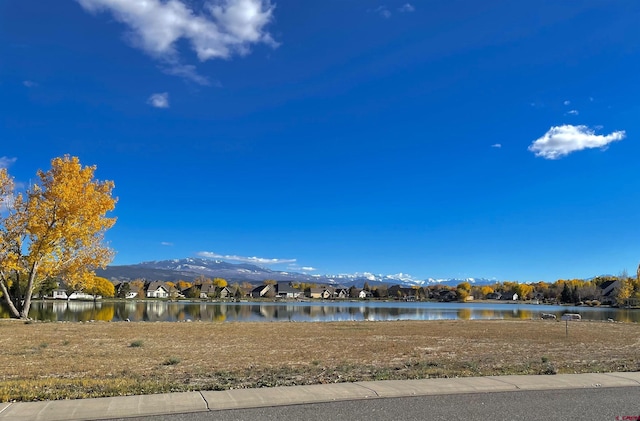 1921 Otter Pond Cir, Montrose CO, 81401 land for sale