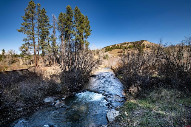 view of nature