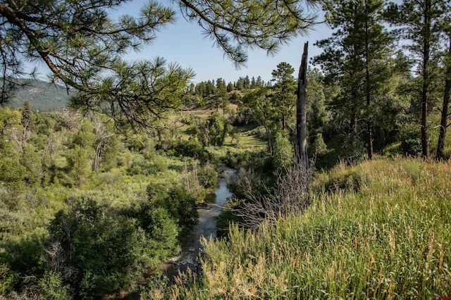 view of local wilderness