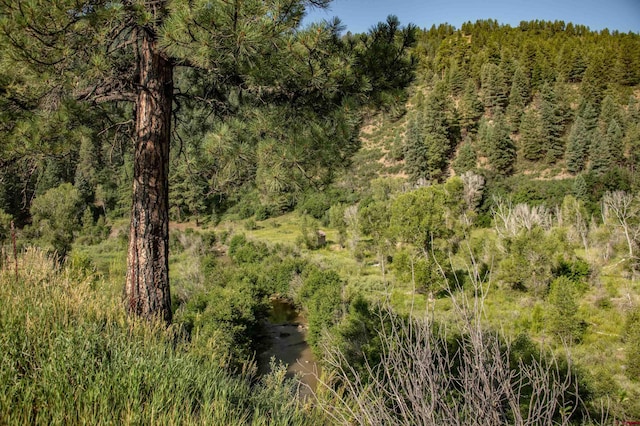 view of landscape