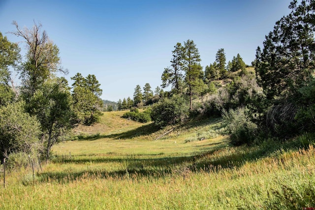 view of nature featuring a rural view