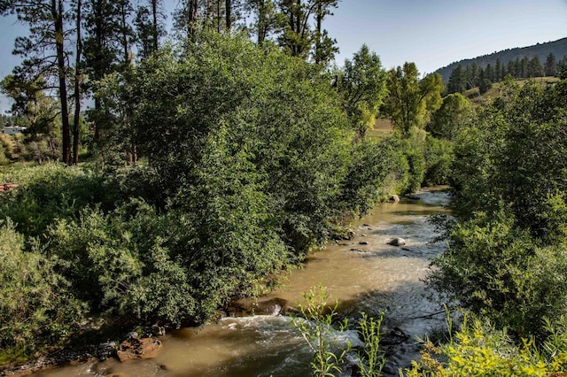 view of local wilderness