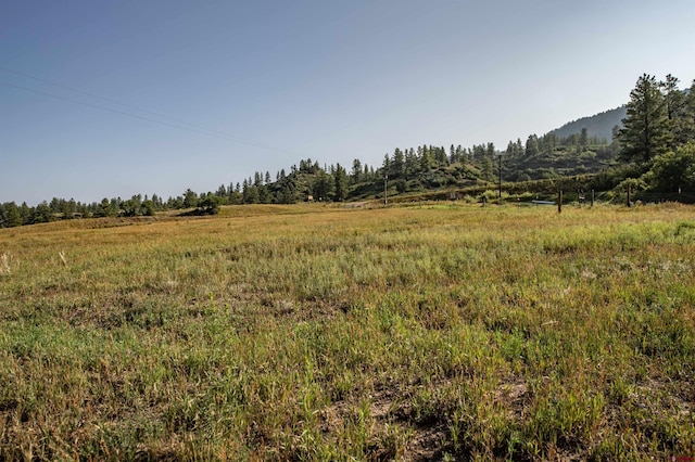 view of landscape with a rural view