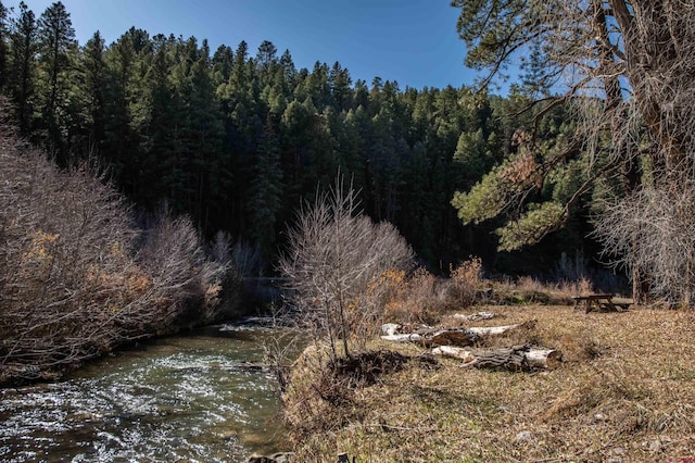 view of local wilderness