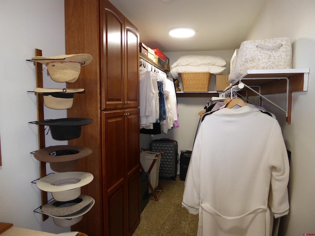 walk in closet featuring dark colored carpet