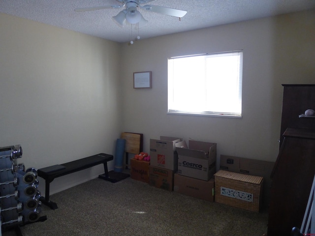 miscellaneous room featuring ceiling fan, carpet flooring, and a textured ceiling