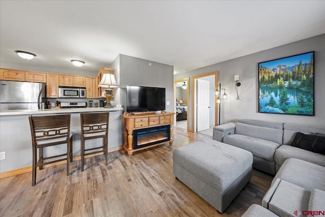 living room with light hardwood / wood-style floors