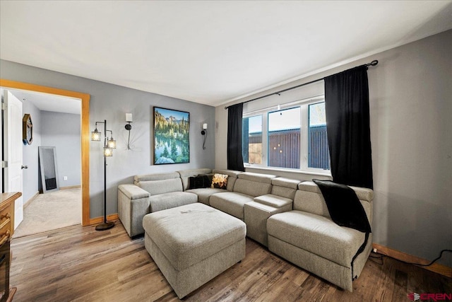 living room with wood-type flooring