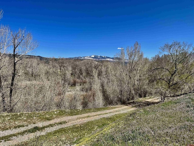 TBD Tumbleweed Rd, Montrose CO, 81403 land for sale