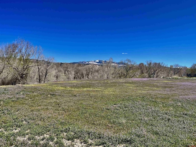 Listing photo 2 for TBD Tumbleweed Rd, Montrose CO 81403