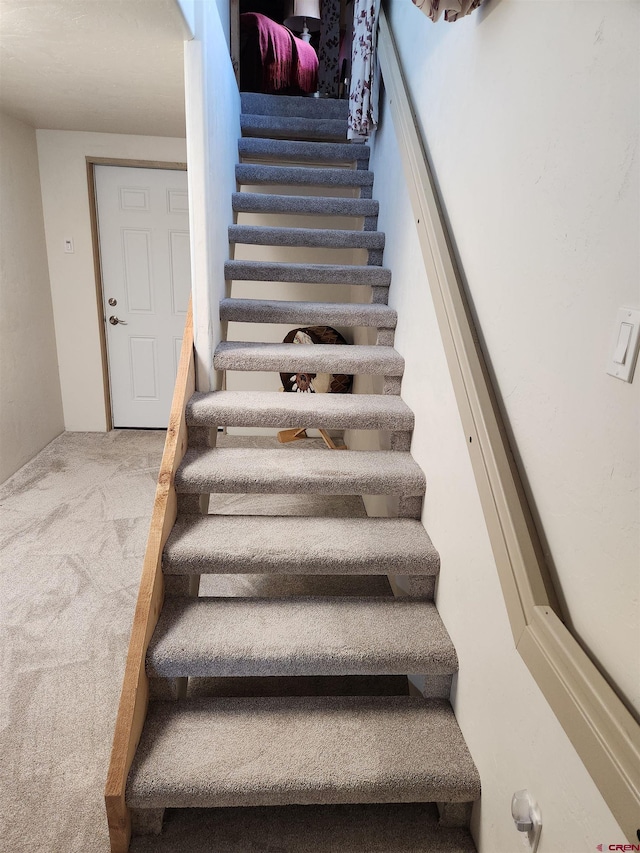 stairs featuring carpet