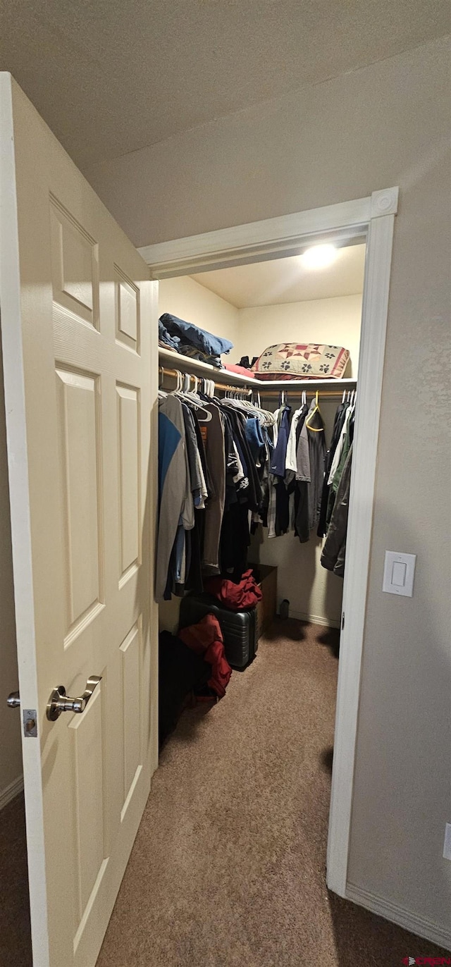 walk in closet featuring carpet flooring