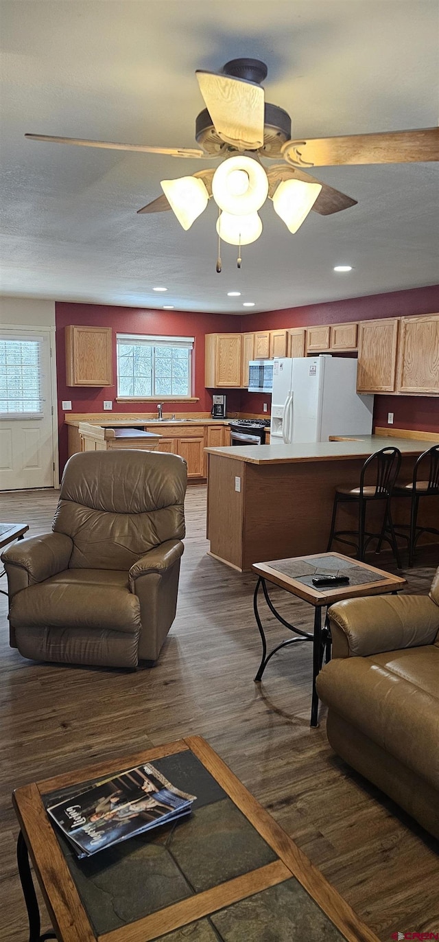 living room featuring ceiling fan, dark hardwood / wood-style flooring, and sink