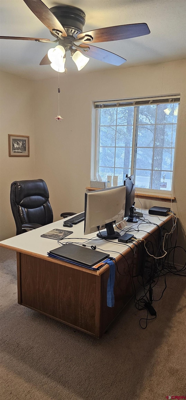 carpeted home office featuring ceiling fan