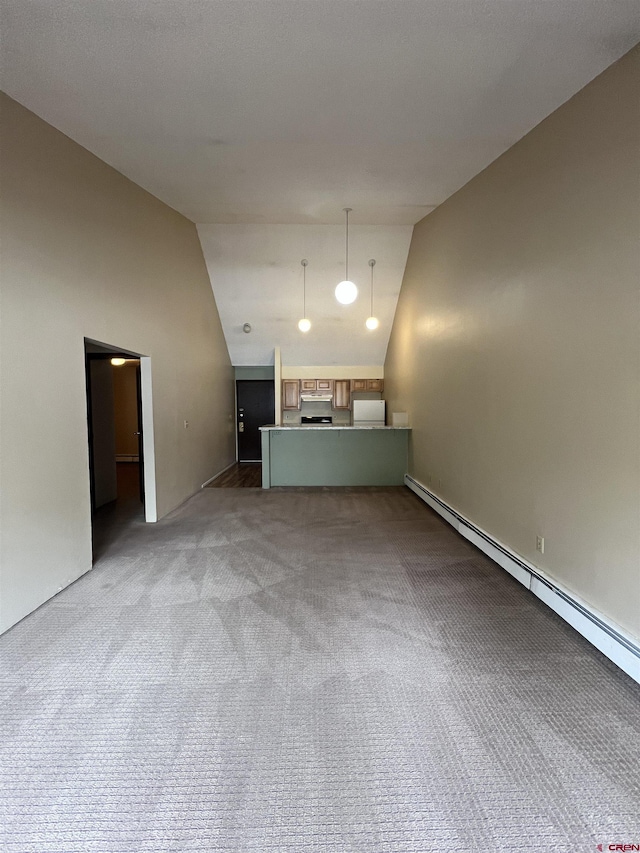 1135 Florida Rd Unit 28, Durango, CO 81301 - unfurnished living room with baseboards, light carpet, a baseboard radiator, and vaulted ceiling