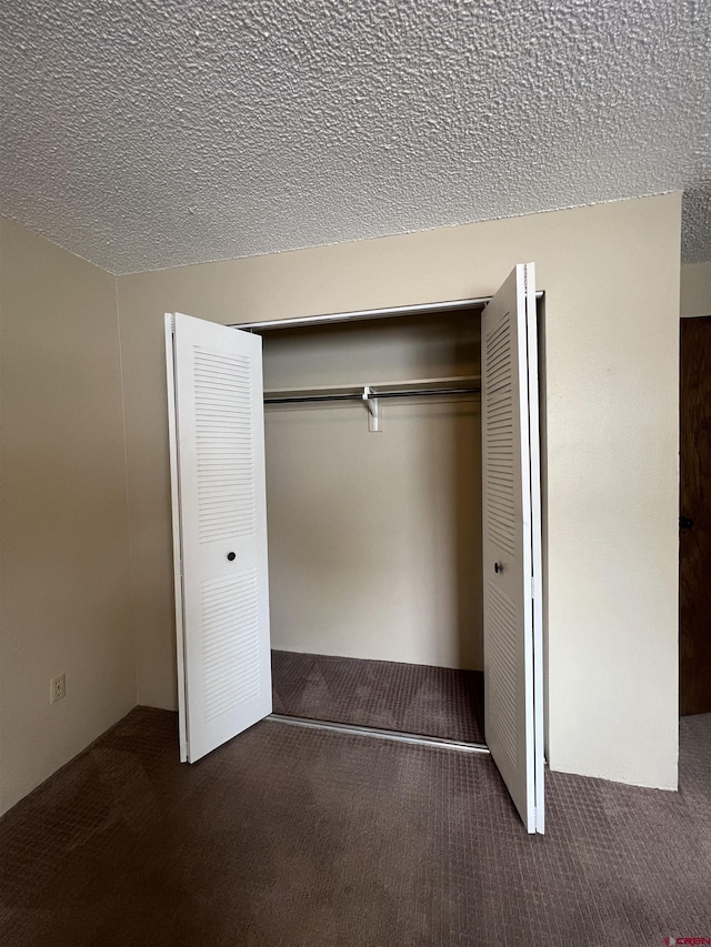 1135 Florida Rd Unit 28, Durango, CO 81301 - view of closet