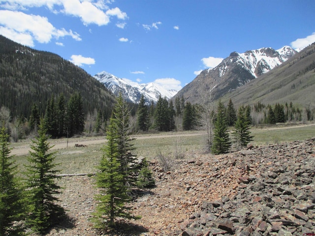 8755 Hinsdale County 20th Rd, Lake City, CO 81235