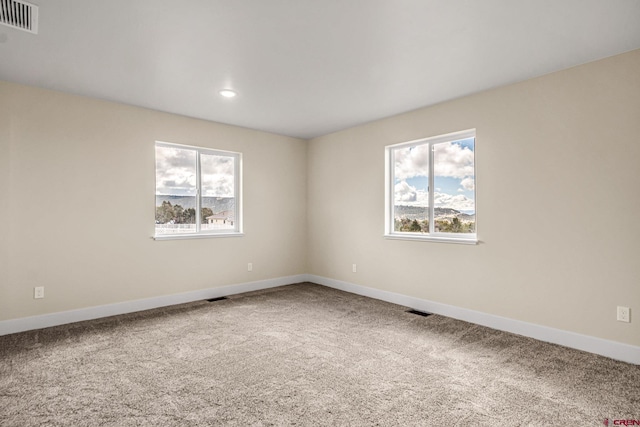 spare room with carpet