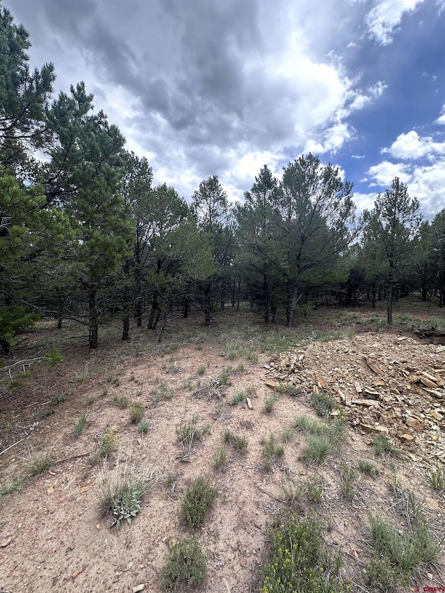 Listing photo 3 for TBD Canyon Dr, Ridgway CO 81432