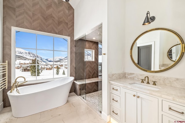 bathroom featuring vanity, a mountain view, and independent shower and bath