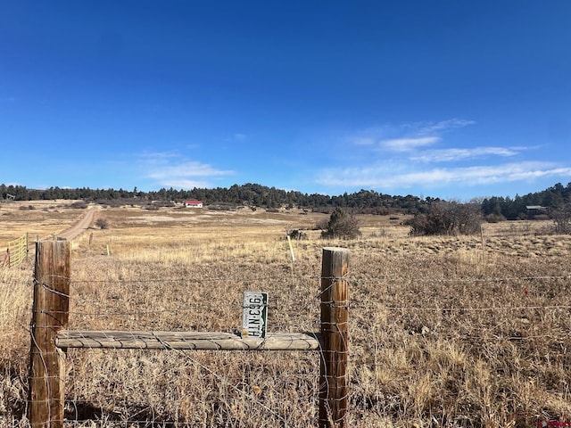 view of yard with a rural view