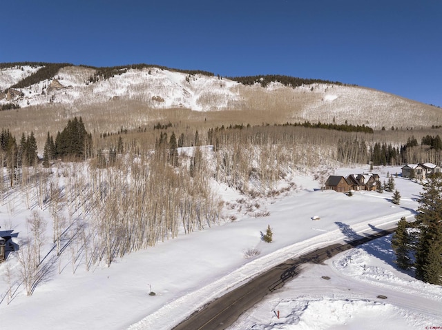 555 Meadow Dr, Crested Butte CO, 81224 land for sale