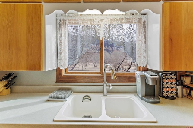 interior details featuring sink