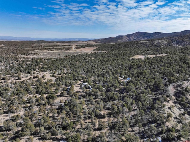 7371 County Road 310, Ignacio CO, 81137 land for sale