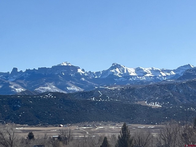 LOT4 Marie St, Ridgway CO, 81432 land for sale