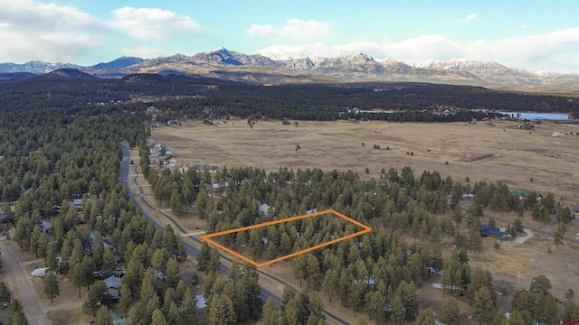 1599 N Pagosa Blvd, Pagosa Springs CO, 81147 land for sale