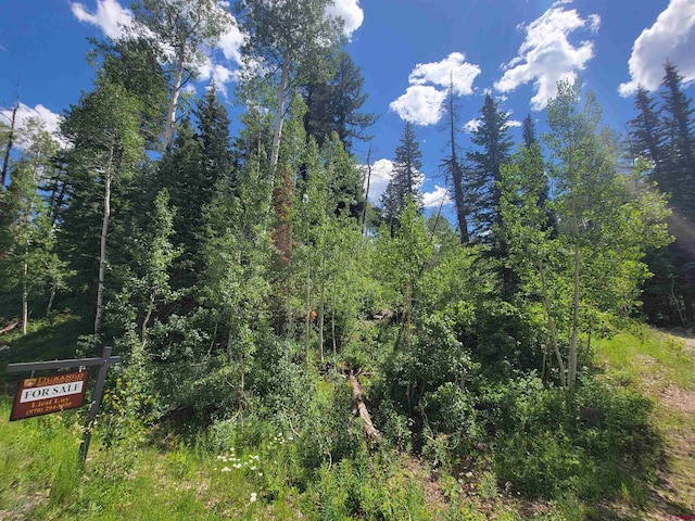 59 Engineer Dr, Durango CO, 81301 land for sale