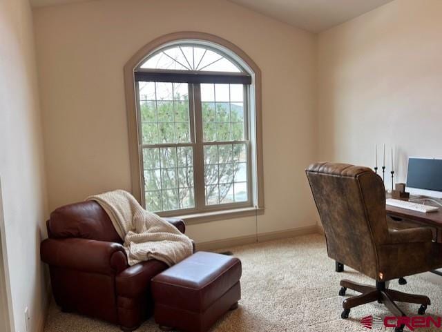 office featuring light colored carpet