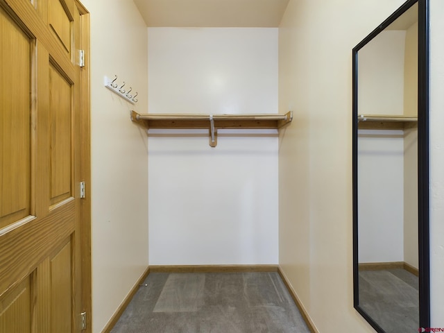 spacious closet with dark colored carpet