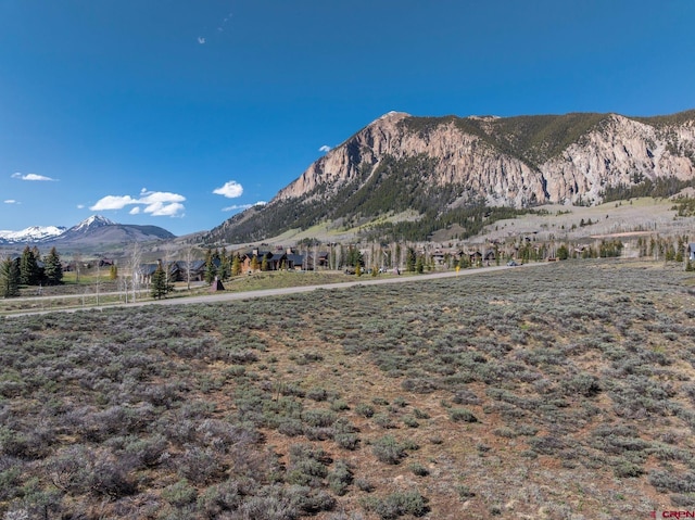 69 Larkspur Loop, Crested Butte, CO 81224