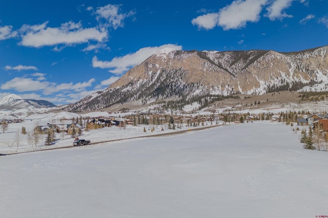 Listing photo 3 for 69 Larkspur Loop, Crested Butte CO 81224