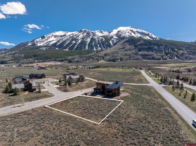 69 Larkspur Loop, Crested Butte, CO 81224