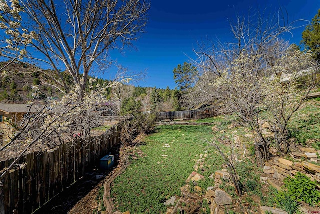 view of yard with a fenced backyard