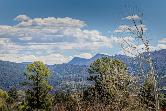 view of mountain feature with a wooded view