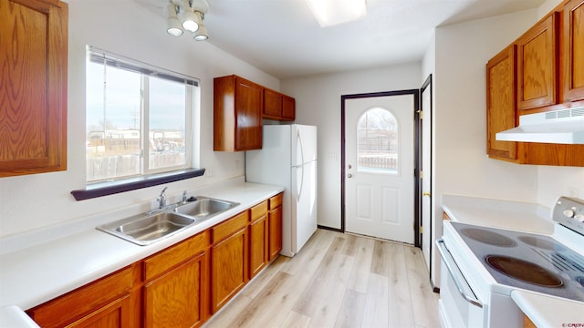 kitchen with sink, white appliances, light hardwood / wood-style flooring, and a healthy amount of sunlight