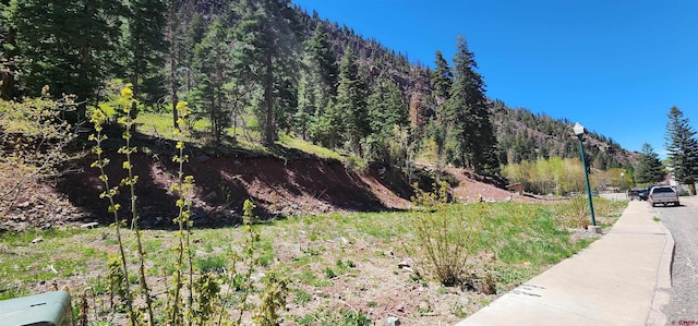 Listing photo 3 for LOT16 Hinkson Ter, Ouray CO 81427